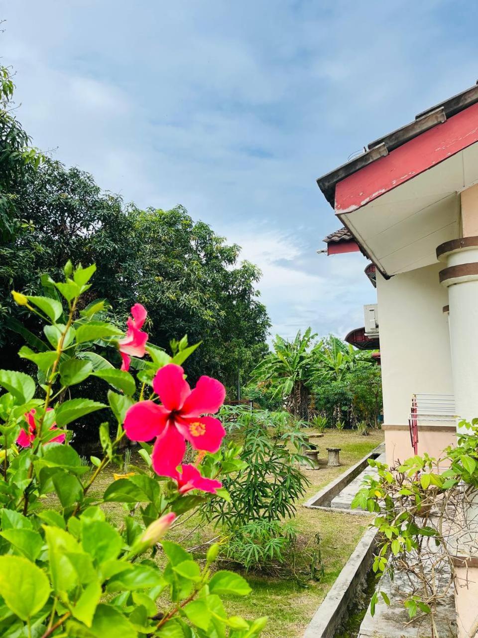 Sofea Homestay Ipoh Exterior foto
